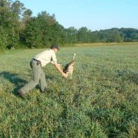 Sandhill State WMA - 9,150 Acres for Hunting Deer in Wood, WI images 2