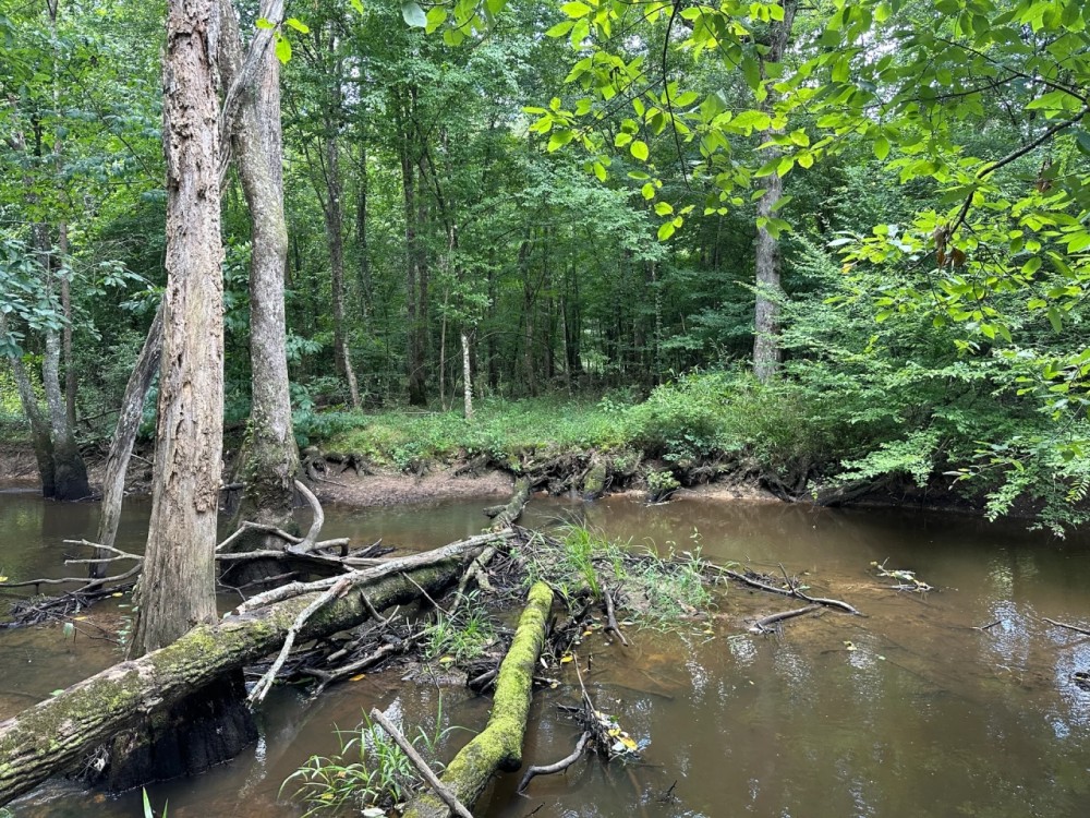 34 Acres in Winston County MS featured image