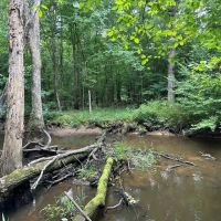 34 Acres in Winston County MS
