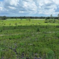 Graceville Longview Farm images 4