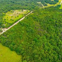 16 - Acres Highway frontage Power at road driveway Hunting Property Poughkeepsie Arkansas images 5