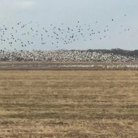 Long Prairie Farm images 4