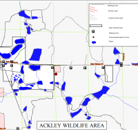 27,000 Acres of Ackley WMA for hunting Turkey in Lincoln, WI