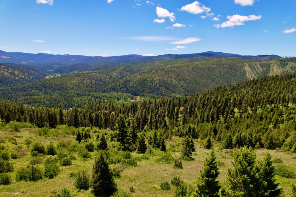 Vital Blackfoot Valley Vision featured image