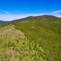Vital Blackfoot Valley Vision images 2