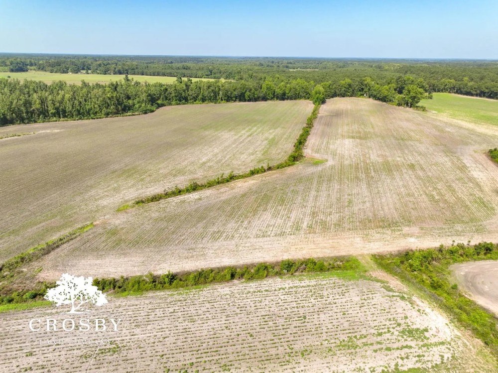 Carver Road Farm featured image