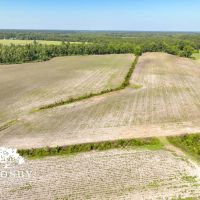 Carver Road Farm