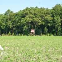 Carver Road Farm images 3
