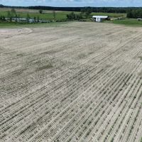 143 Acres in Turner County Georgia