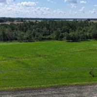 143 Acres in Turner County Georgia images 3