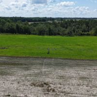 143 Acres in Turner County Georgia images 4