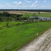143 Acres in Turner County Georgia images 5