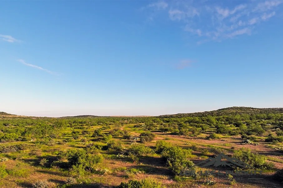 Wilson Carlsbad Ranch featured image