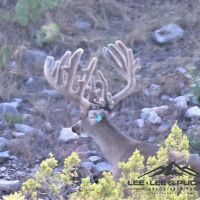 Wilson Carlsbad Ranch images 5