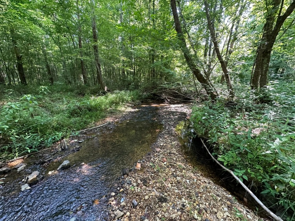 42 - Acres - Colbert County AL featured image