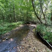 42 - Acres - Colbert County AL