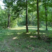 42 - Acres - Colbert County AL images 2