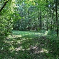 42 - Acres - Colbert County AL images 4