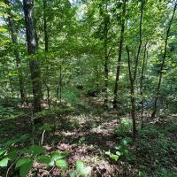 42 - Acres - Colbert County AL images 5
