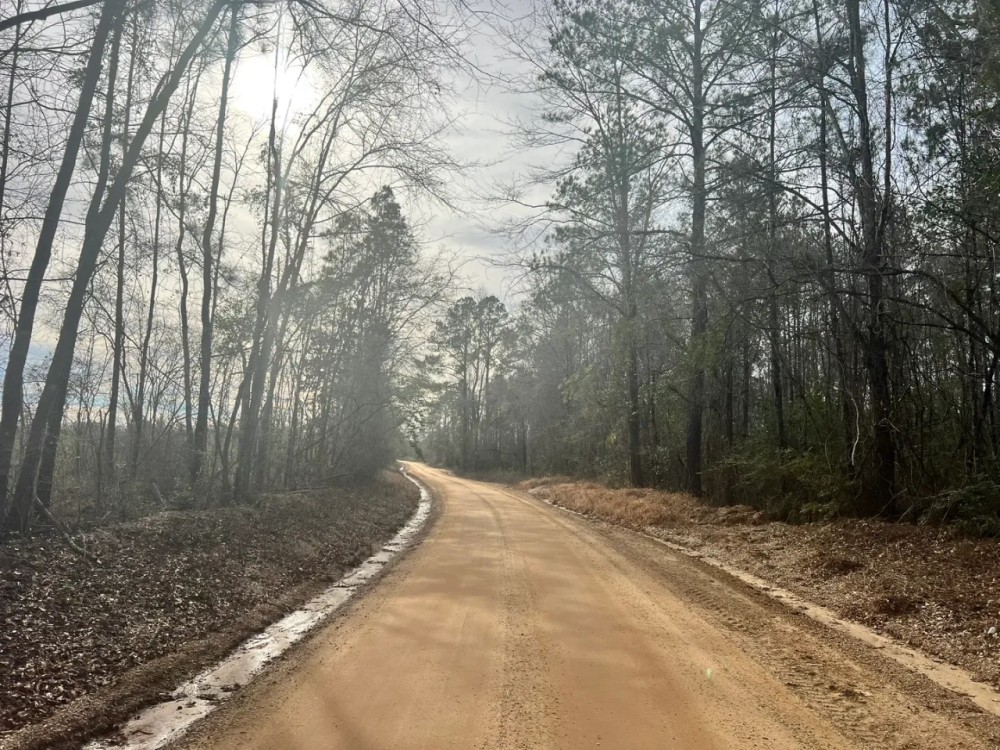18 Acres in Wayne County MS with Frontage on Strickland Road featured image