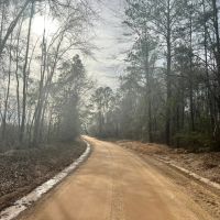 18 Acres in Wayne County MS with Frontage on Strickland Road