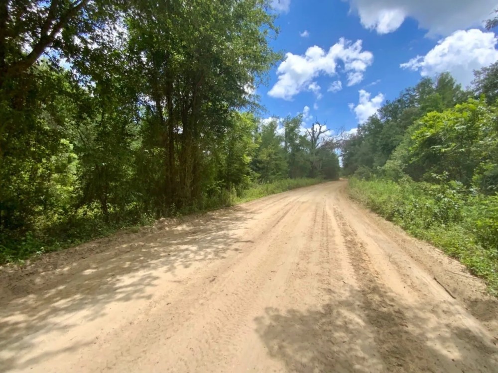 Lot 3 NE Dandelion 14 Acres featured image