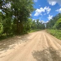 Lot 3 NE Dandelion 14 Acres