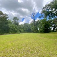 Lot 3 NE Dandelion 14 Acres images 2
