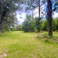 Lot 3 NE Dandelion 14 Acres images 3