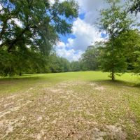 Lot 3 NE Dandelion 14 Acres images 4
