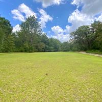 Lot 3 NE Dandelion 14 Acres images 5
