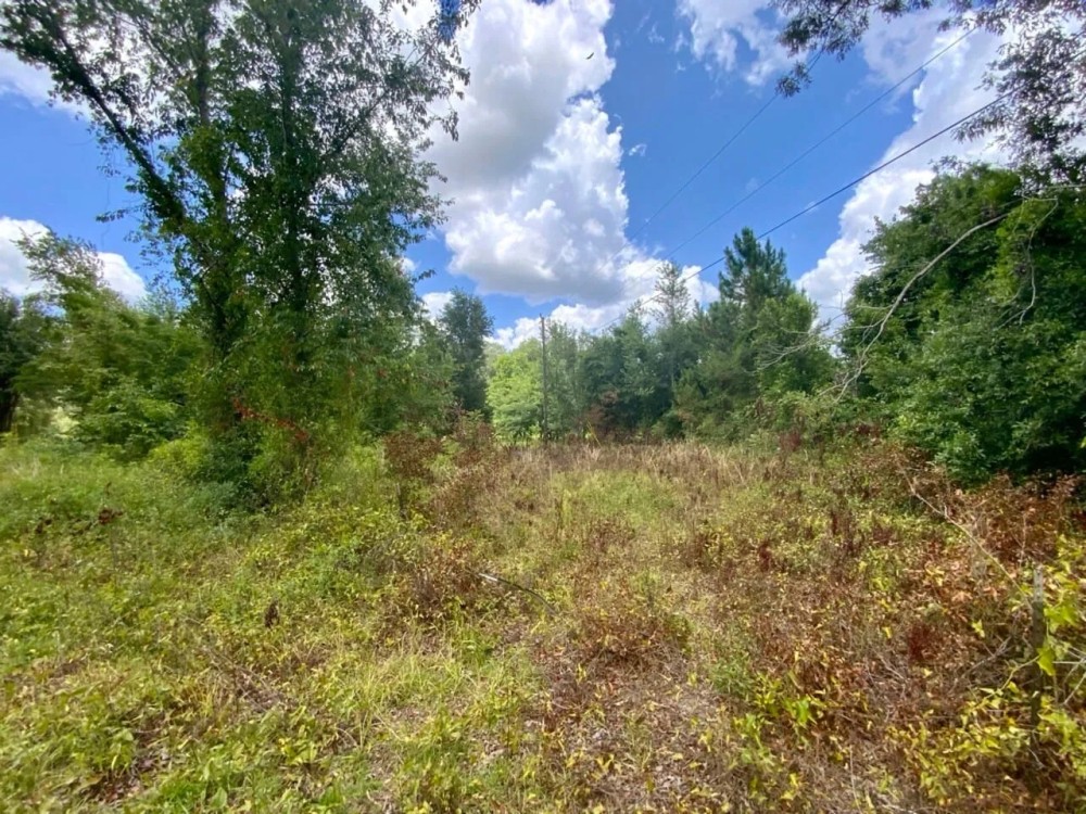 Lot 2 NE Dandelion 11 Acres featured image