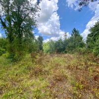 Lot 2 NE Dandelion 11 Acres