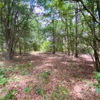 Lot 2 NE Dandelion 11 Acres images 2