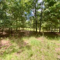 Lot 2 NE Dandelion 11 Acres images 5