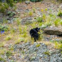 Midnight Canyon Ranch images 4