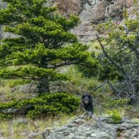 Midnight Canyon Ranch images 5
