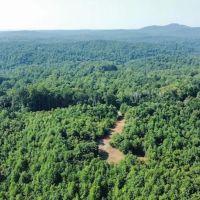 21.72 acres of Residential and Recreational Land For Sale in Stokes County NC images 3