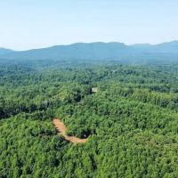 21.72 acres of Residential and Recreational Land For Sale in Stokes County NC images 4