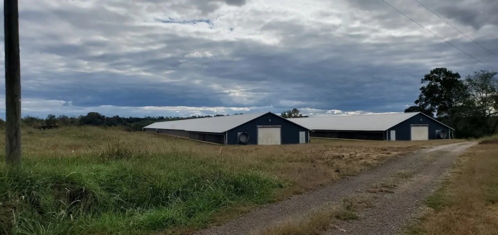 Lundy Road featured image