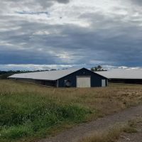 Lundy Road