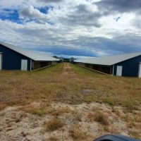 Lundy Road images 2