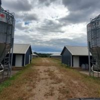 Lundy Road images 3