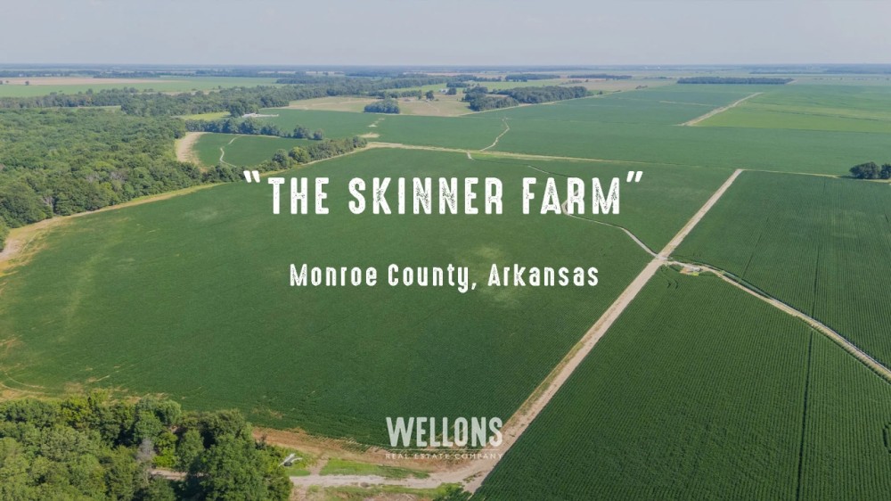 The Skinner Farm featured image
