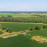 The Skinner Farm images 2