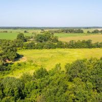 The Skinner Farm images 3