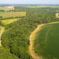 The Skinner Farm images 4