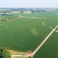 The Skinner Farm images 5