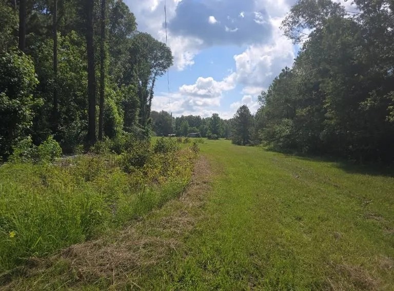 20 Acres in Copiah County in Hazlehurst MS featured image
