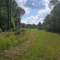20 Acres in Copiah County in Hazlehurst MS